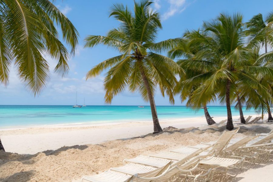 Excursion to Saona Island From Bayahibe