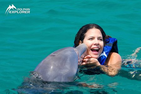 Dolphin Encounter From Bayahibe